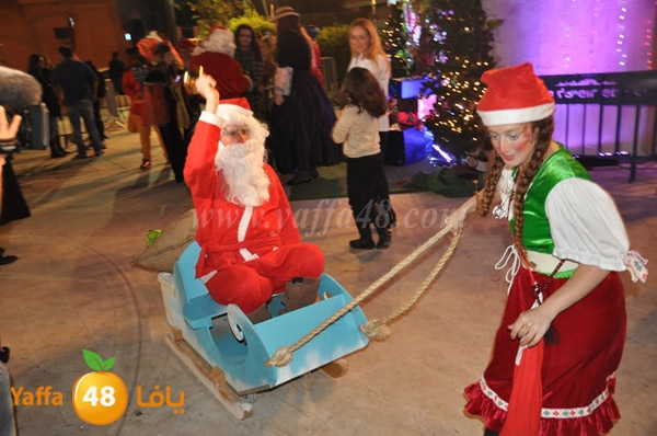 tree milad shajara (5).JPG